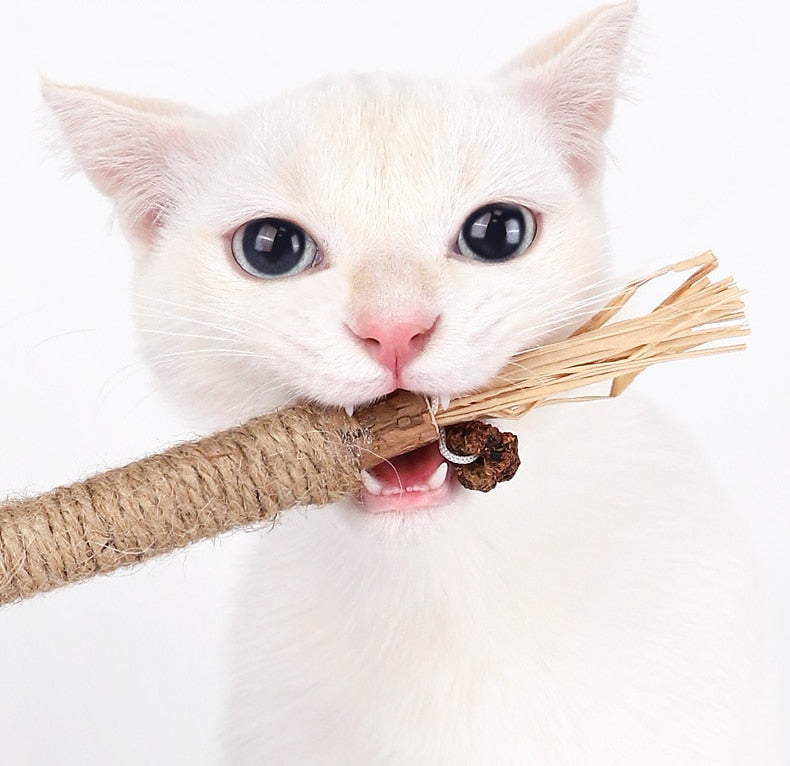 Purrfect Chew